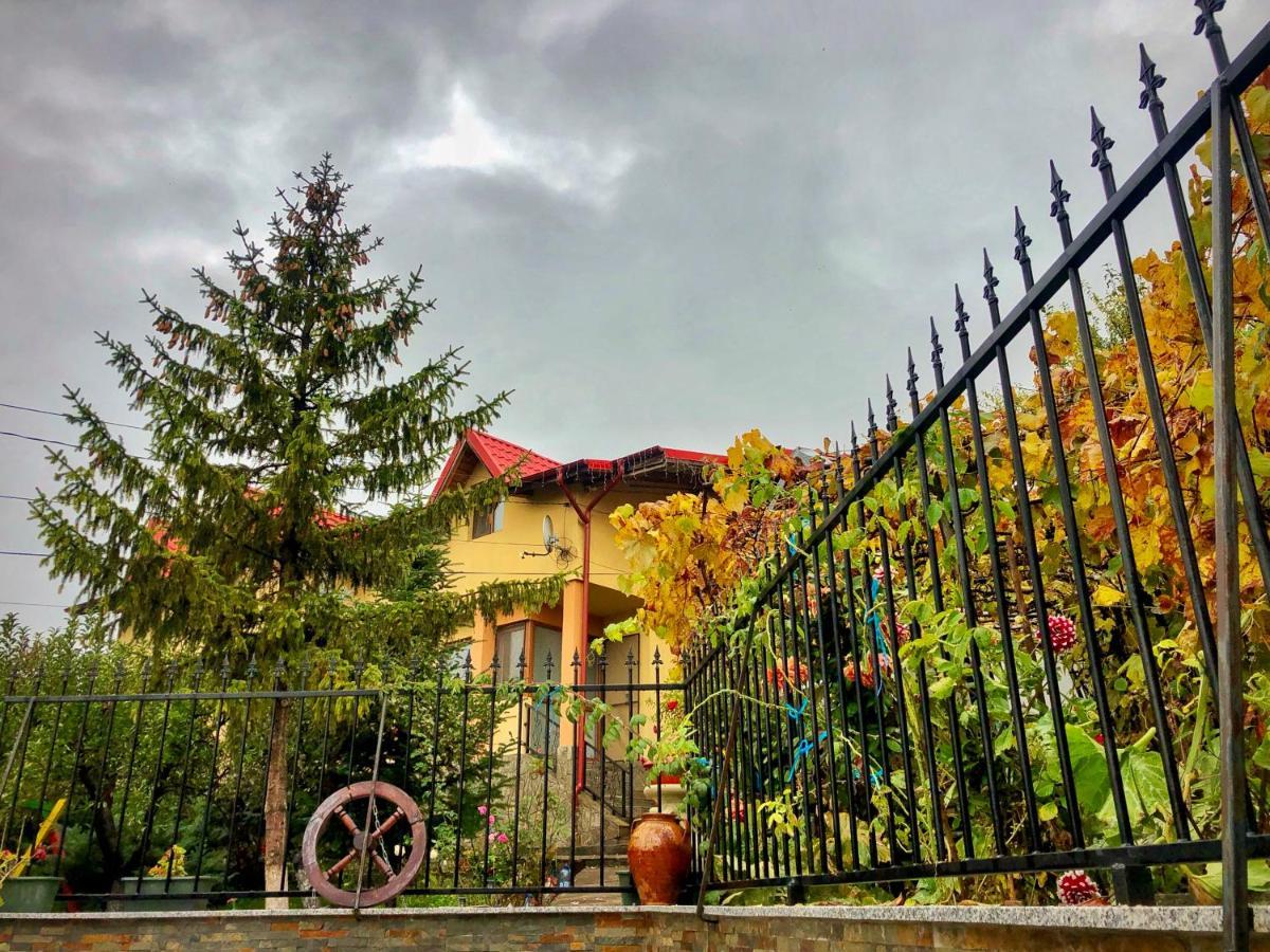 Pensiunea Portas Resort Slănic Esterno foto